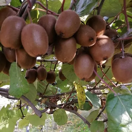 בית כפרי Nuvolino מונזמבנו